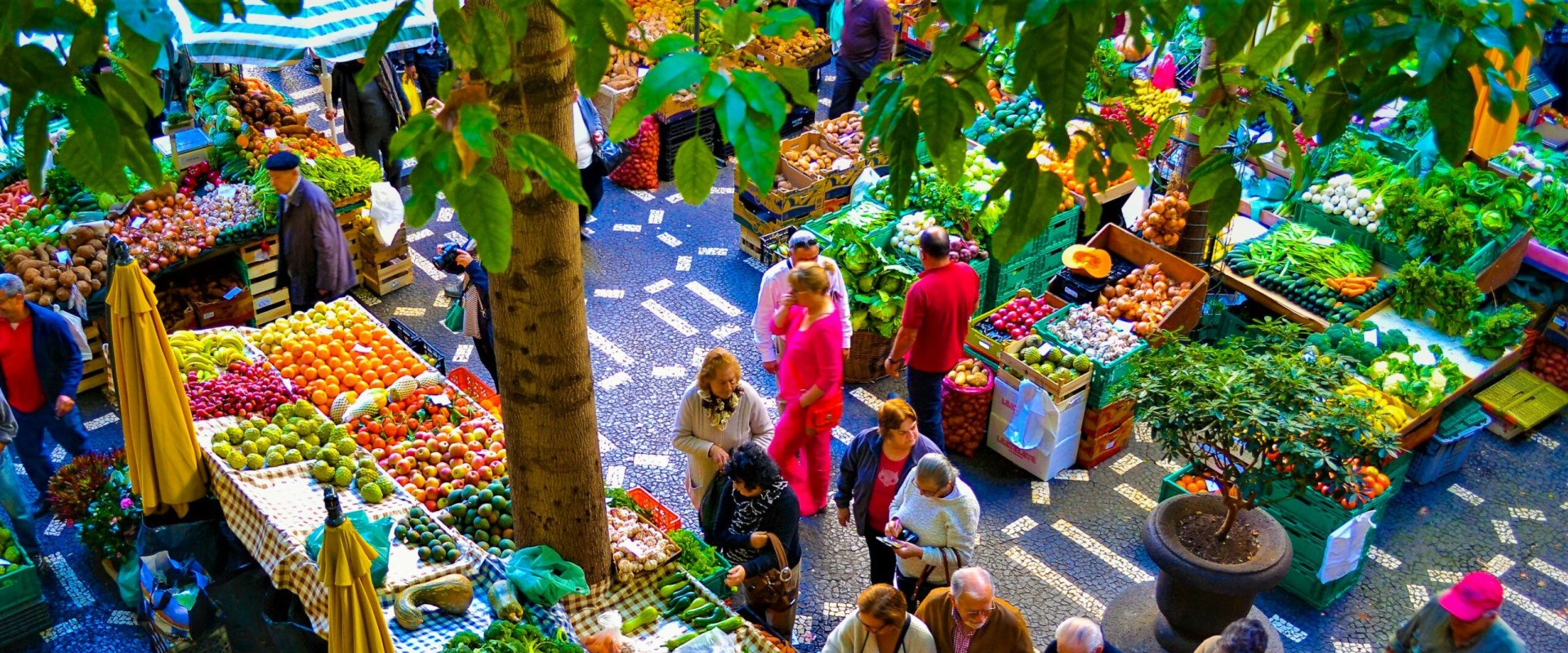 Exploring the Vibrant Food Markets of Lisbon